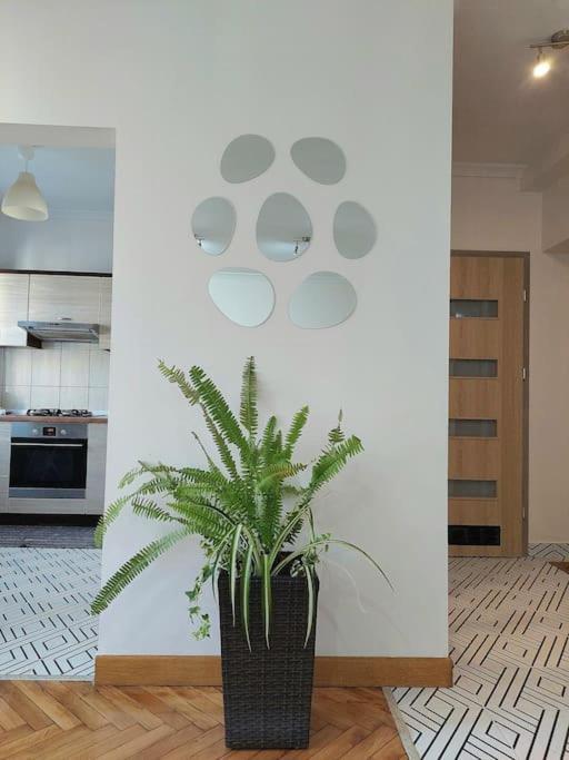 Domin Domin Apartment Czestochowa Exterior photo