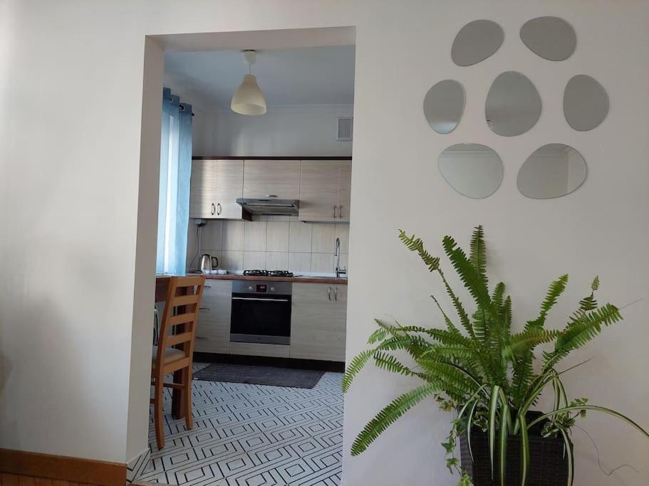 Domin Domin Apartment Czestochowa Exterior photo